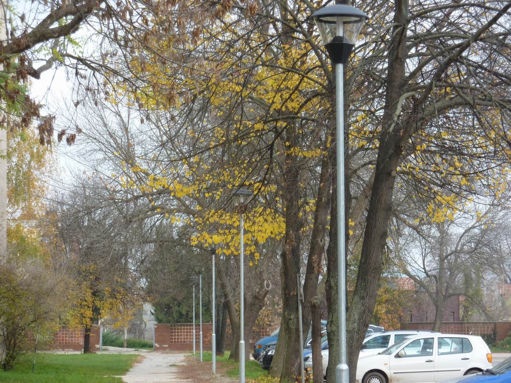 LED poulicne osvetlenie a osvetlenie parku v meste Štúrovo